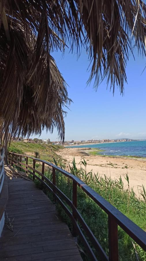 Apartment Only 250M From The Beach Los Locos Torrevieja Esterno foto