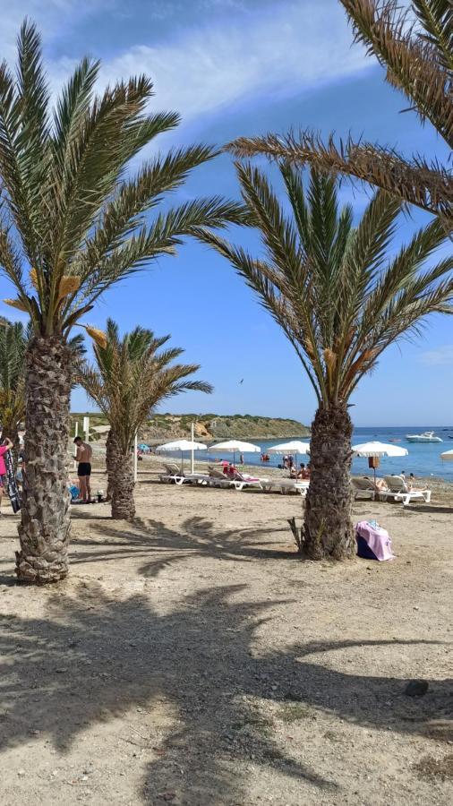 Apartment Only 250M From The Beach Los Locos Torrevieja Esterno foto
